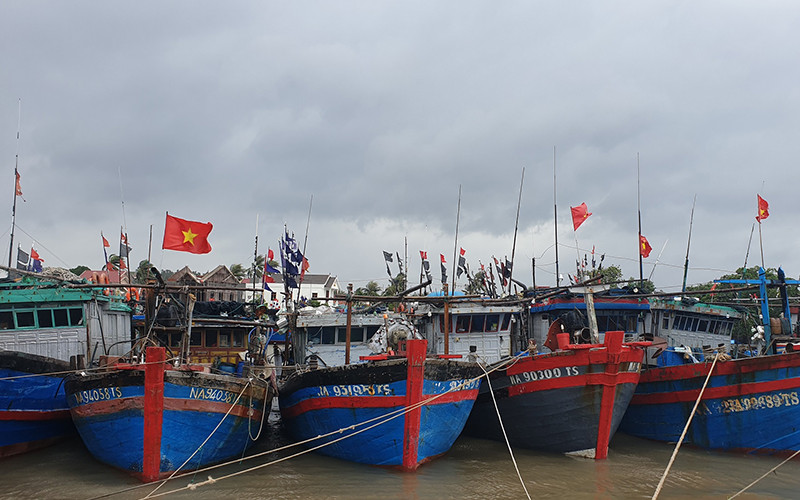 Toàn bộ tàu thuyền Nghệ An đã vào nơi trú đậu an toàn.