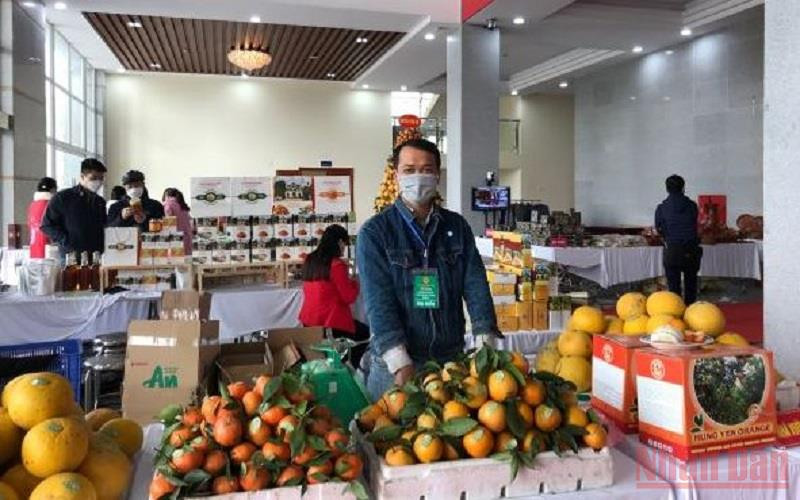 Trưng bày sản phẩm cam tại Hội nghị kết nối cung cầu tiêu thụ cam và sản phẩm nông nghiệp-công nghiệp. (Ảnh: PHẠM HÀ).