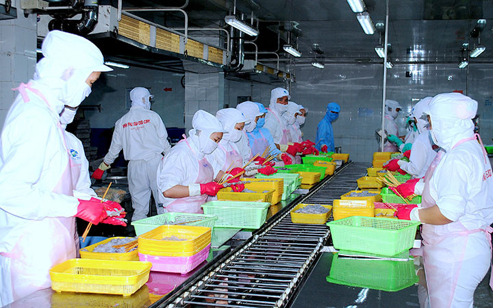Chế biến hàng giá trị gia tăng của Tập đoàn thủy sản Minh Phú Cà Mau.