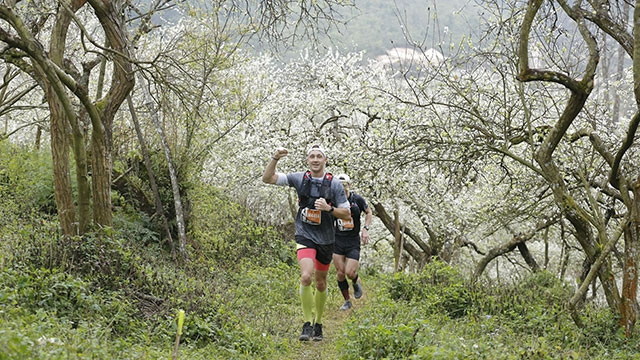 Sắc xuân bừng lên theo những bước chạy trên núi cao.