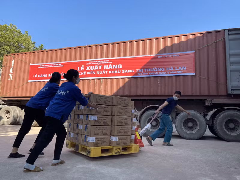 Công nhân của Công ty cổ phần Kim Bôi vận chuyển sản phẩm măng chế biến lên container để xuất khẩu sang Hà Lan.