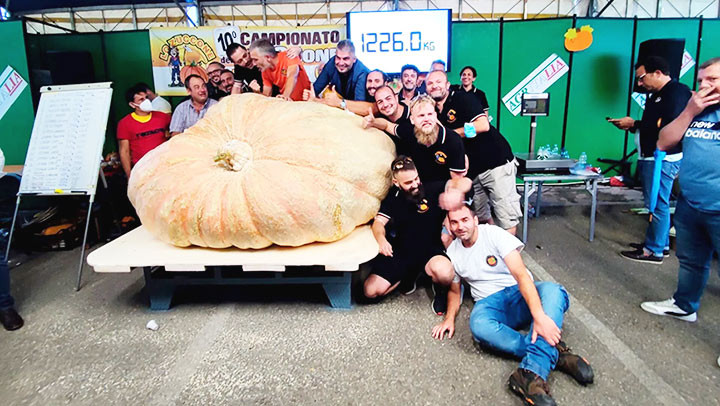 Quả bí khổng lồ