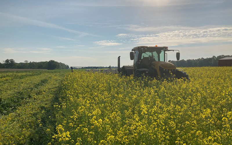 Ảnh minh họa. (Ảnh: Reuters)