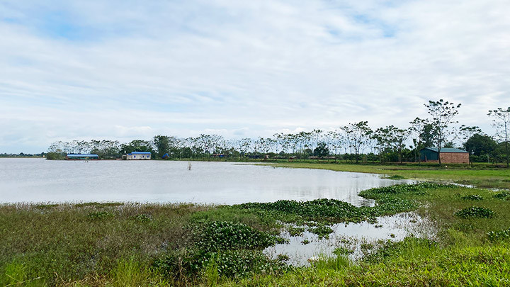 Đầm nuôi trồng thủy sản ở Tứ Xã.
