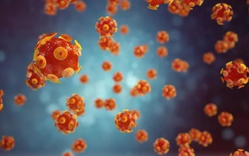 Hình ảnh mô phỏng virus gây bệnh viêm gan. (Ảnh: Getty Images/TTXVN)