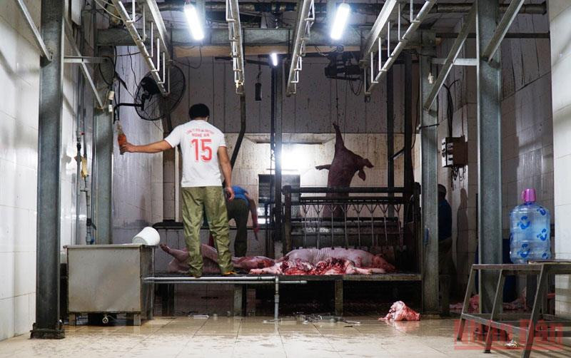 Lò mổ lớn nhất Đà Nẵng bị xử phạt vi phạm xả thải vượt chuẩn.