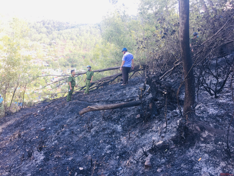 Hiện trường vụ cháy tại núi Bà Hỏa thuộc phường Đồng Đa, thành phố Quy Nhơn, tỉnh Bình Định.