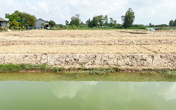 Đồng ruộng biến thành ao hầm.