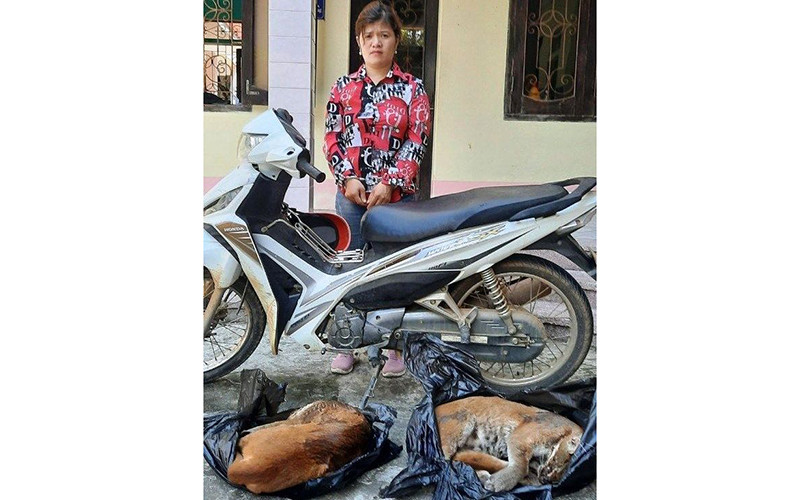 Đối tượng chuyển động vật hoang dã trái phép bị bắt giữ.