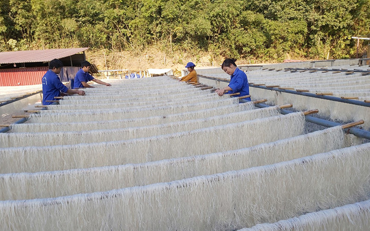 Người dân xã Côn Minh, huyện Na Rì, phơi miến dong.