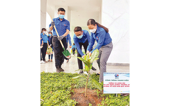 Các bạn trẻ Quận đoàn quận 11 trồng cây bàng vuông trong khuôn viên cơ quan, đơn vị trên địa bàn.