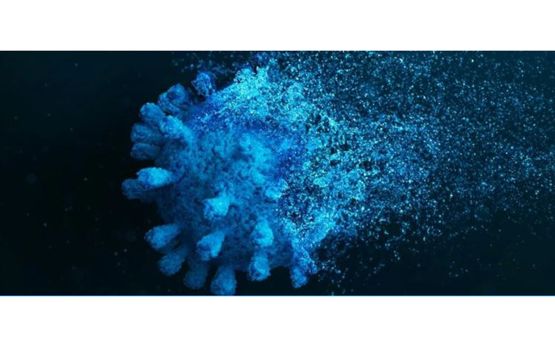 (Nguồn: sciencealert.com)