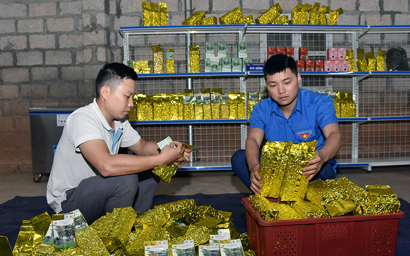 Ðóng gói sản phẩm tại Hợp tác xã chè Hồng Hà (xã Bằng Phúc, huyện Chợ Ðồn, tỉnh Bắc Kạn). (Ảnh TRỊNH PHÚ) 