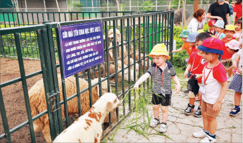 Khách du lịch trải nghiệm du lịch nông nghiệp tại Phù Đổng Green Park.