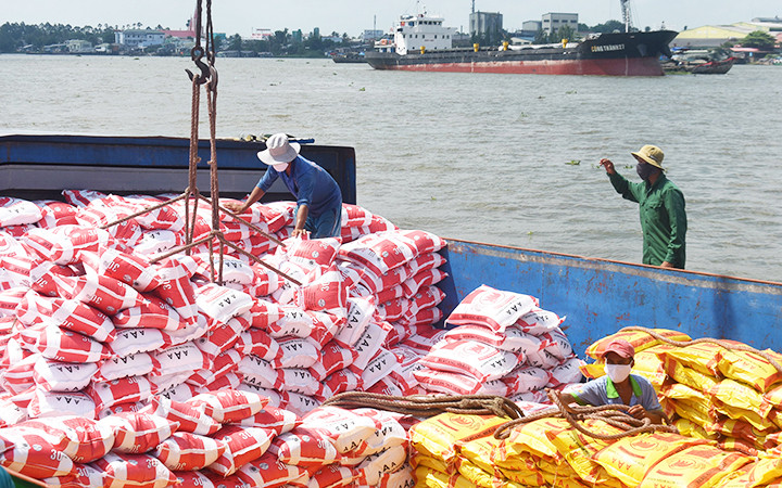 Gạo xuất khẩu qua cảng Mỹ Thới (TP Long Xuyên, tỉnh An Giang). Ảnh: BỬU ĐẤU