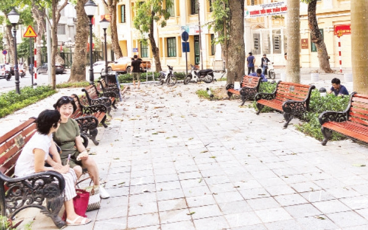 Diện mạo mới của vườn hoa Tây Sơn