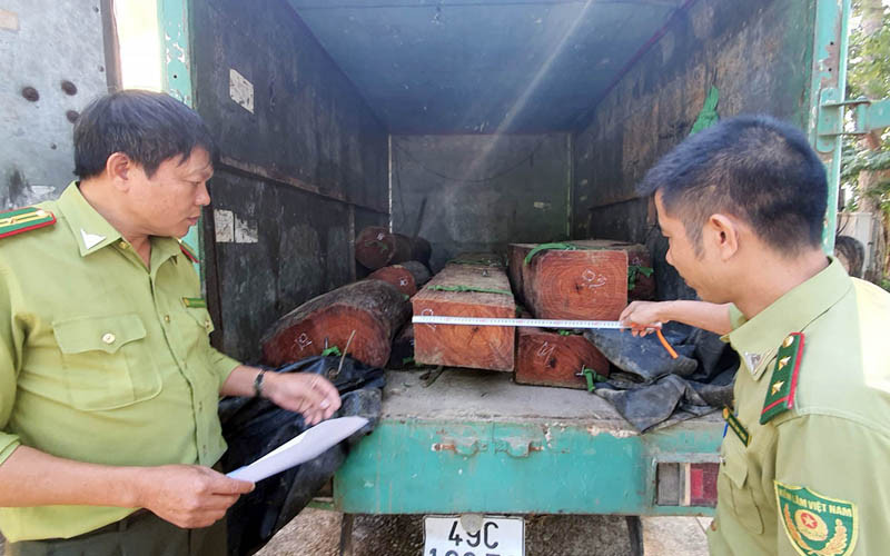 Ô-tô cùng tang vật vụ việc tại cơ quan kiểm lâm.