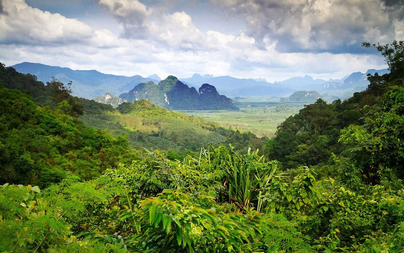 Việc khởi động sáng kiến Thập kỷ Liên hợp quốc đã mở ra một phong trào toàn cầu nhằm phục hồi Trái đất.