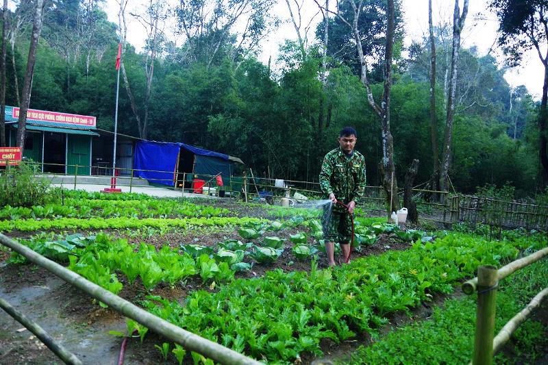 Cán bộ chốt số 4 , Đồn Biên phòng CKQT Nậm Cắn chăm sóc rau.