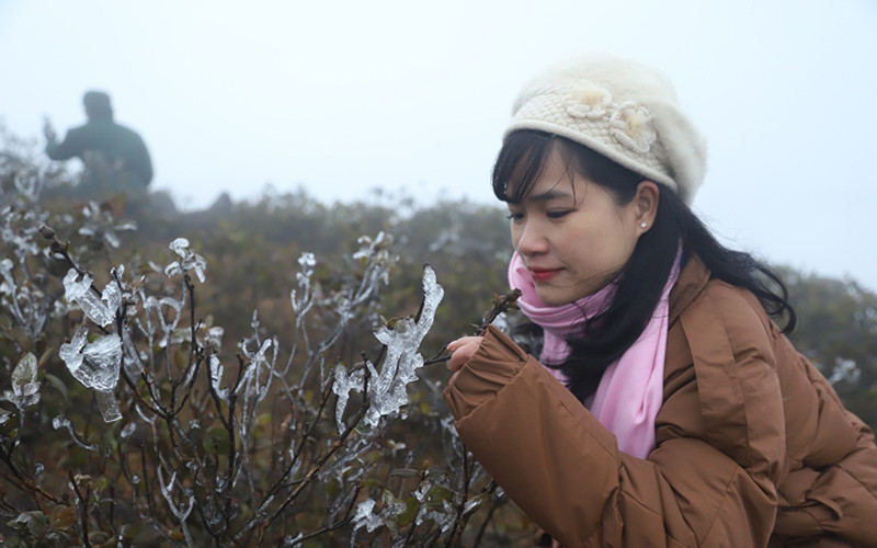 Bạn trẻ thích thú trước hiện tượng băng giá.