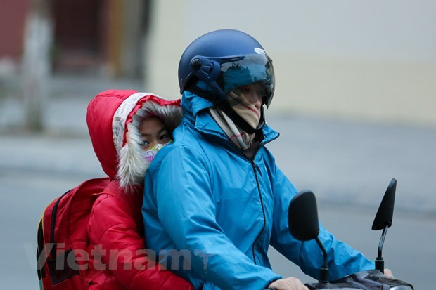 (Ảnh: MINH SƠN - TTXVN)