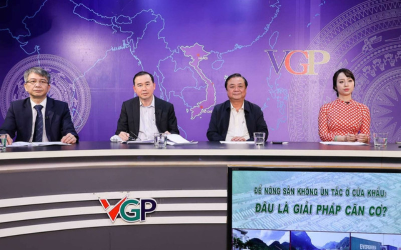 Tọa đàm trực tuyến "Để nông sản không ùn tắc ở cửa khẩu: Đâu là giải pháp căn cơ?". (Ảnh: VGP)