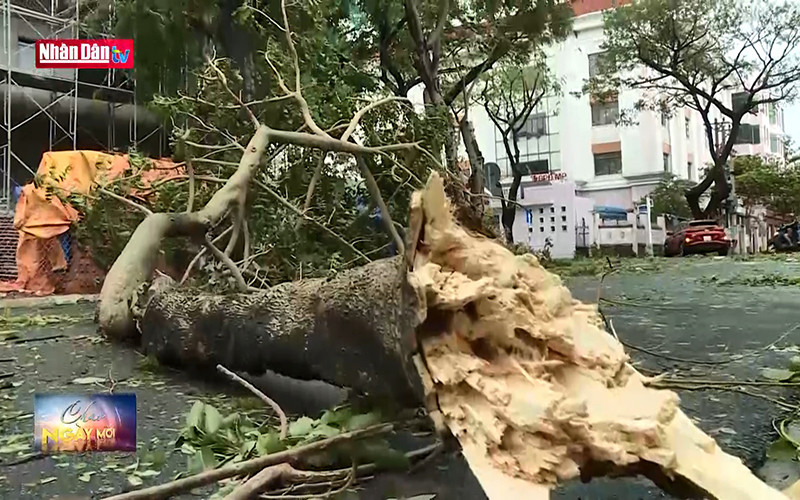 Khẩn trương tìm kiếm người mất tích tại huyện Nam Trà My