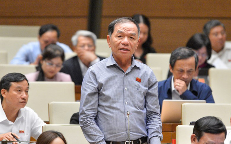 Đại biểu Quốc hội Lê Thanh Vân (Cà Mau).