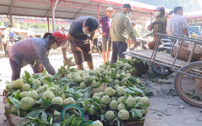 Chợ na Đồng Bành, thị trấn Chi Lăng, luôn tấp nập người mua, kẻ bán.