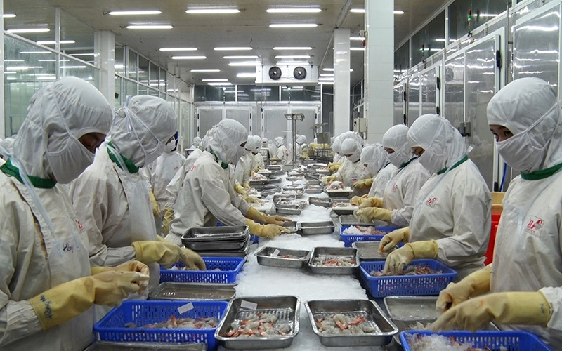 Đồng bằng sông Cửu Long chỉ còn 250 doanh nghiệp hoạt động cầm chừng. 