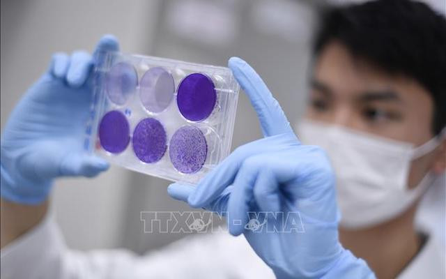 Nghiên cứu vaccine phòng Covid-19 tại Belo Horizonte, bang Minas Gerais, Brazil, ngày 26-3-2020. (Ảnh: AFP/TTXVN)