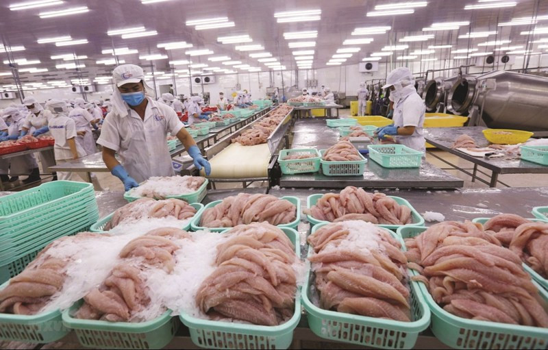 Những ảnh hưởng của dịch Covid-19 gây ra tổn thương nặng nề cho nền kinh tế trong đó có ngành nông nghiệp.