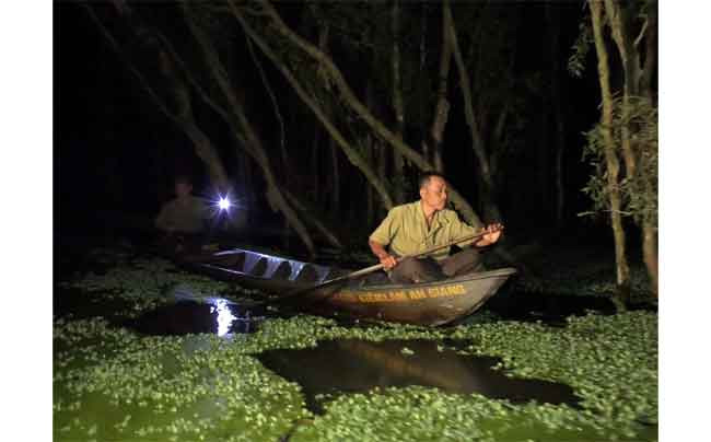 Đội chống “cò tặc” tuần tra đêm để ngăn chặn xâm nhập rừng trái phép tại rừng tràm Trà Sư (Tịnh Biên, An Giang). Ảnh: MỸ HẠNH
