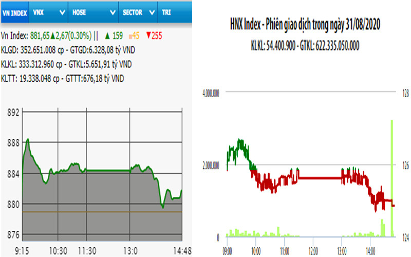 Diễn biến VN-Index và HNX-Index, phiên giao dịch ngày 31-8. 