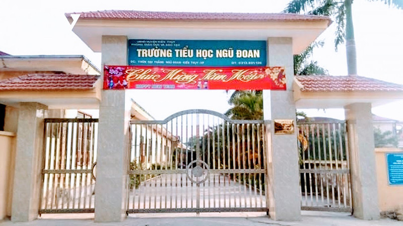 Chấm dứt hợp đồng với giáo viên Trường tiểu học Ngũ Đoan (Hải Phòng)