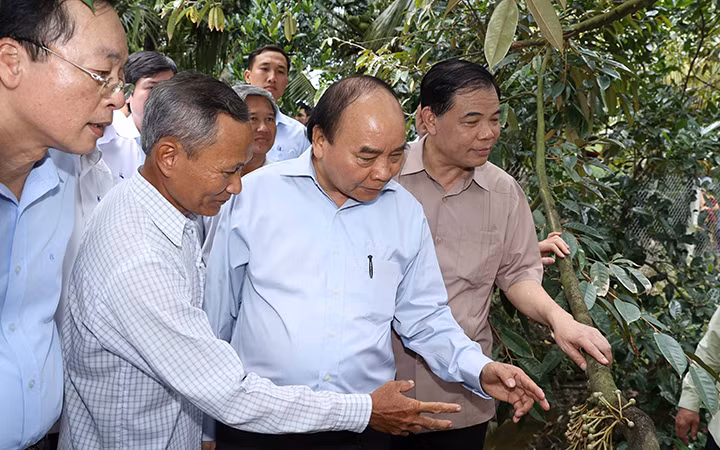 Thủ tướng Nguyễn Xuân Phúc thăm mô hình chuyển đổi sản xuất cây nông nghiệp chuyên trồng sầu riêng tại gia đình ông Mai Văn Âu, xã Hiệp Đức, huyện Cai Lậy, tỉnh Tiền Giang. Ảnh: THỐNG NHẤT (TTXVN)