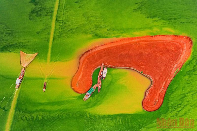 Vào mùa nước cạn, Bến Nôm lộ ra gò đất thành những cù lao có hình dạng như chim ưng, cánh tay, trên mặt nước là tảo xanh ngắt.