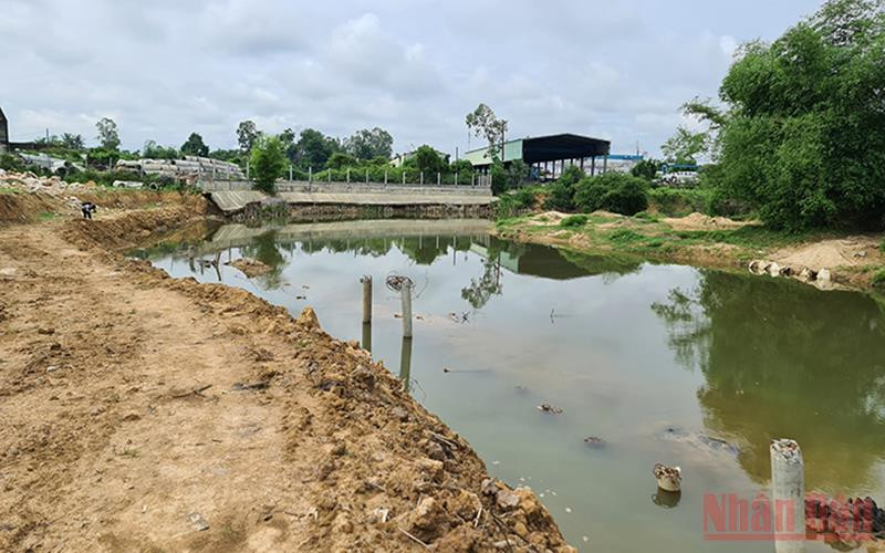 Khu vực đất Công ty TNHH Thái Bình lấn chiếm.