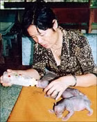 Đồng Nai: Hai gấu ngựa được sinh trong môi trường bán hoang dã