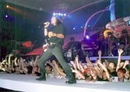 Ban nhạc Bức Tường trong
live show Bông hồng thủy tinh.