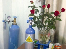 Dưỡng khí oxy của Lá Xanh phun từ bình
qua lọ đựng hoa hồng trong một nhà hàng
ở Hà Nội.