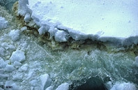 Nhiệt độ trái đất tăng lên <br> các lớp băng ở hai cực tan ra.