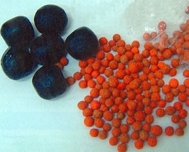 Độc tính của nam dược