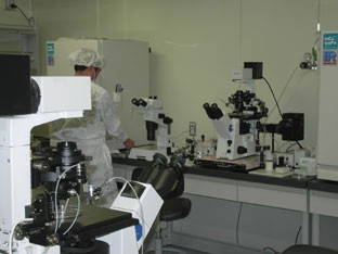 “Giá Việt Nam cũng có một phòng thí nghiệm bằng một nửa thế này…”.