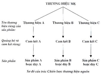Chiến lược thương hiệu nguồn (hay thương hiệu mẹ)