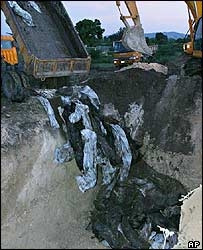 Các nạn nhân được chôn chung.