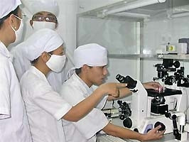 Nhóm nghiên cứu thảo luận và đánh giá,
phân loại trứng bò sữa bằng
kính hiển vi đảo ngược.