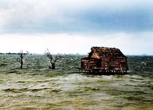 Cảnh trong phim Mùa len trâu.