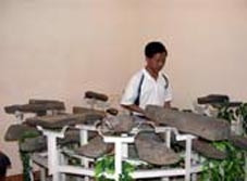 Anh Phan Trí Dũng
và bộ đàn đá Đambri.