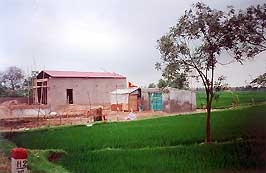 Làm nhà trái phép
trên đất trồng lúa ở Hồng Tiến.